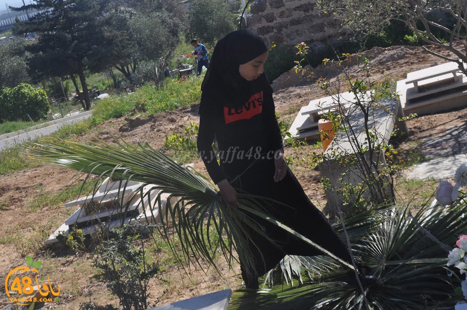 tasohamlalanjna (39).jpg